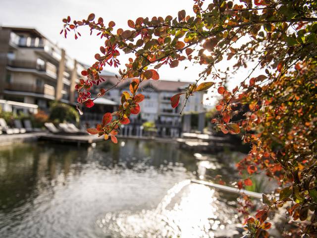 Deep relaxation in autumn at the Bodenmaiserhof wellness hotel - Leading Spa Resorts